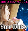 Star Daisy