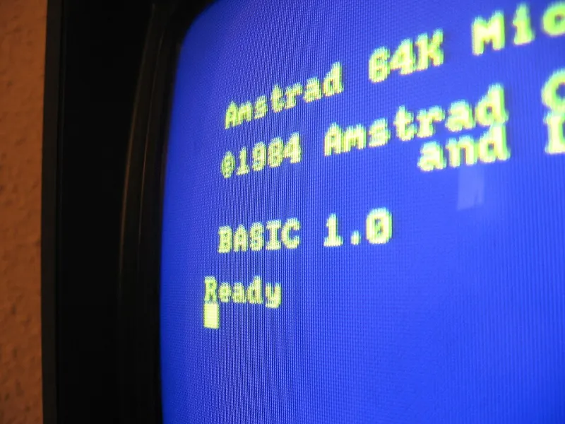 Ghost Accounts and Cringeworthy Usernames: A Field Guide to Excavating Your Digital Past